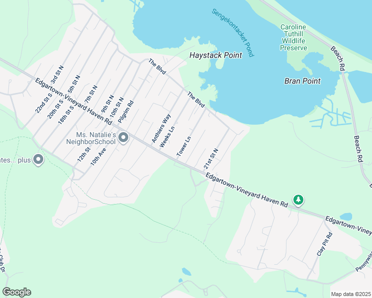 map of restaurants, bars, coffee shops, grocery stores, and more near 19 Tower Lane in Edgartown
