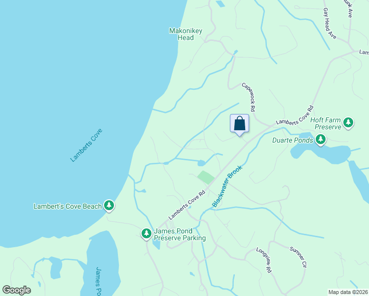 map of restaurants, bars, coffee shops, grocery stores, and more near Bartimus Luce Road in West Tisbury