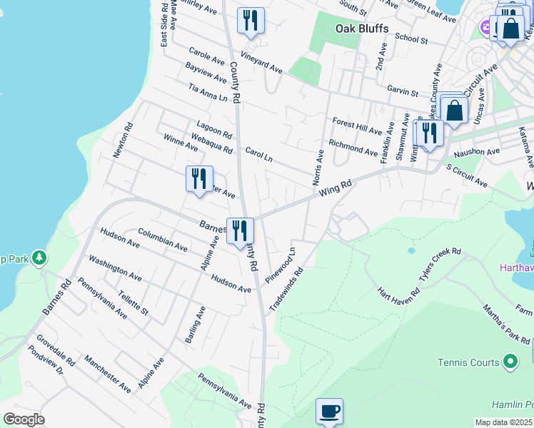 127 Wing Road, Oak Bluffs MA Walk Score