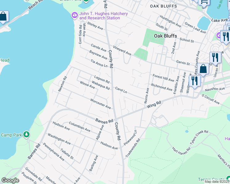 map of restaurants, bars, coffee shops, grocery stores, and more near 162 County Road in Oak Bluffs