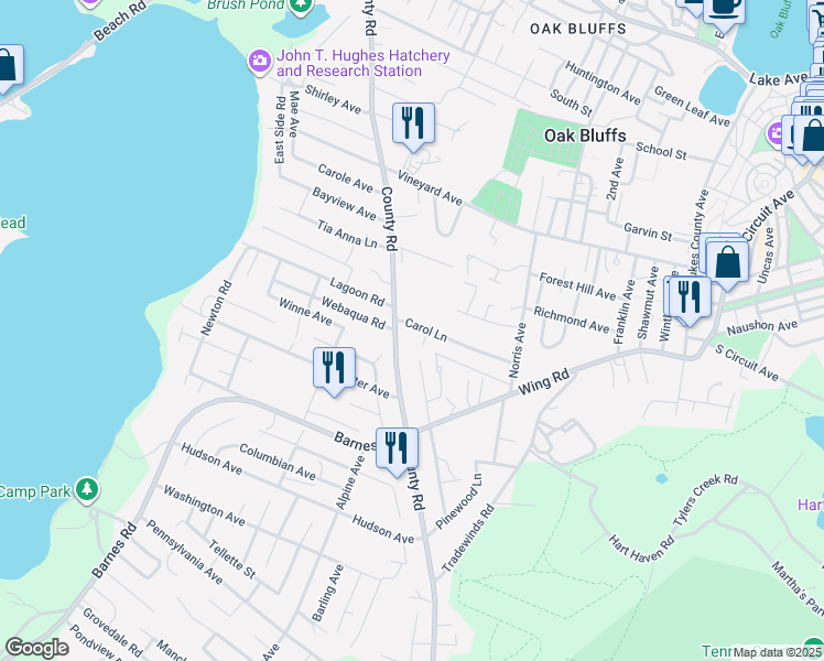 map of restaurants, bars, coffee shops, grocery stores, and more near 162 County Road in Oak Bluffs