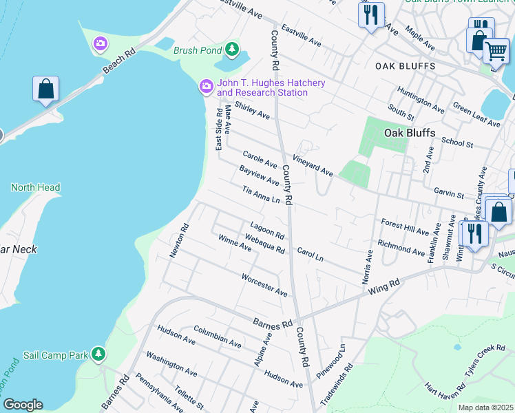 map of restaurants, bars, coffee shops, grocery stores, and more near 8 Beach Plum Lane in Oak Bluffs