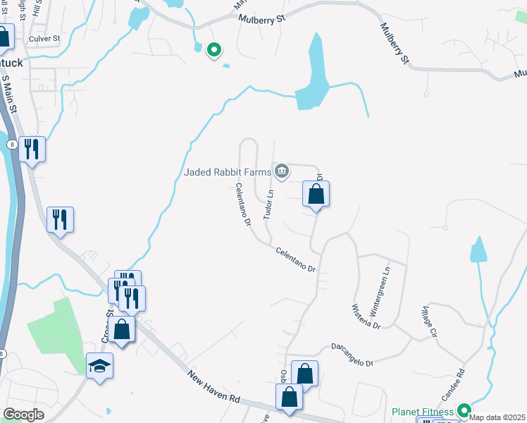 map of restaurants, bars, coffee shops, grocery stores, and more near 123 Celentano Drive in Naugatuck