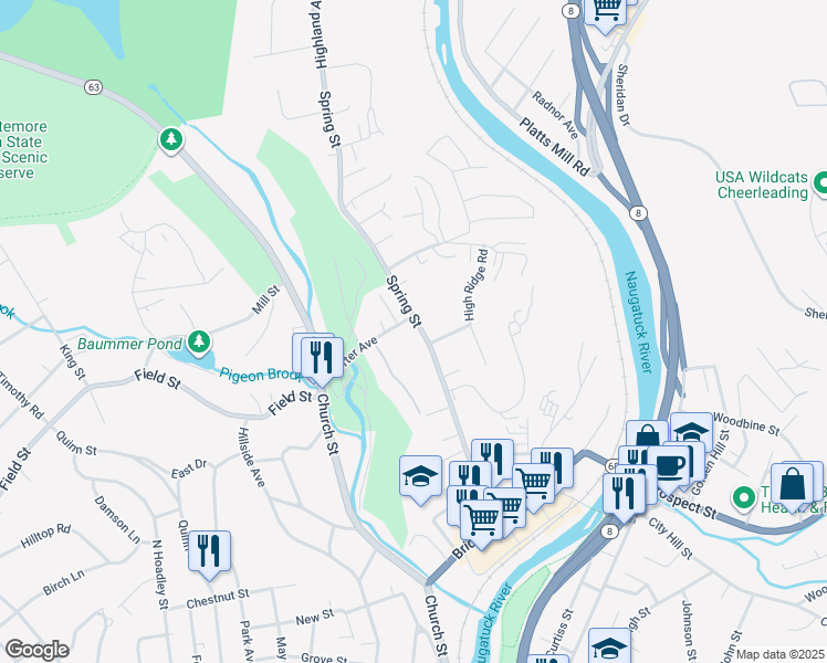 map of restaurants, bars, coffee shops, grocery stores, and more near 288 Spring Street in Naugatuck