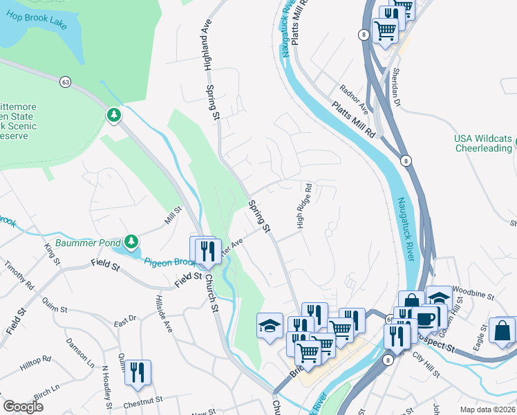 map of restaurants, bars, coffee shops, grocery stores, and more near 341 Spring Street in Naugatuck