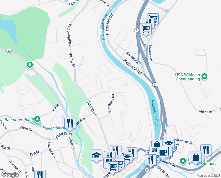 map of restaurants, bars, coffee shops, grocery stores, and more near 29 Patricia Lane in Naugatuck