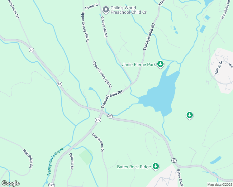 map of restaurants, bars, coffee shops, grocery stores, and more near 156 Transylvania Road in Southbury