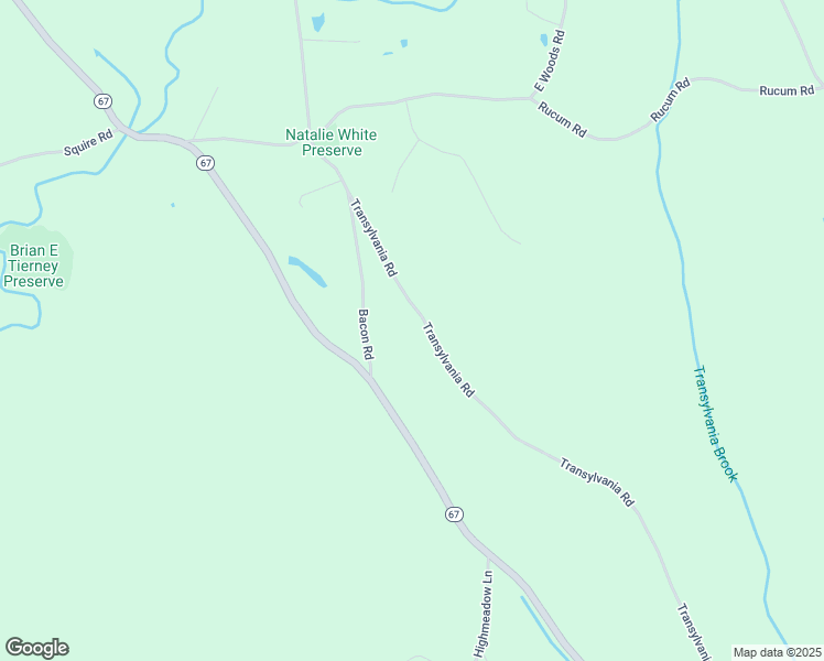 map of restaurants, bars, coffee shops, grocery stores, and more near 139 Transylvania Road in Roxbury