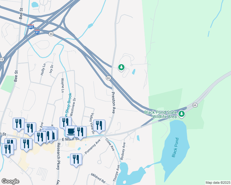 map of restaurants, bars, coffee shops, grocery stores, and more near 161 Preston Avenue in Meriden