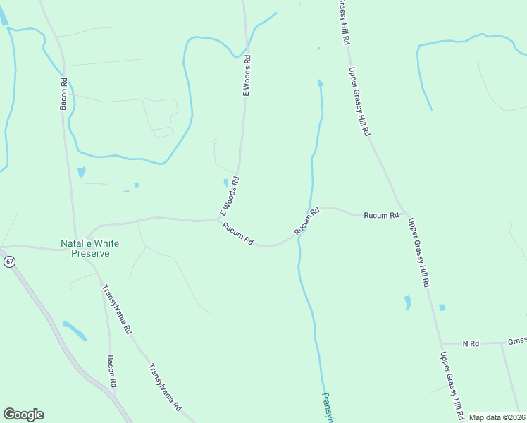 map of restaurants, bars, coffee shops, grocery stores, and more near 88 Rucum Road in Roxbury