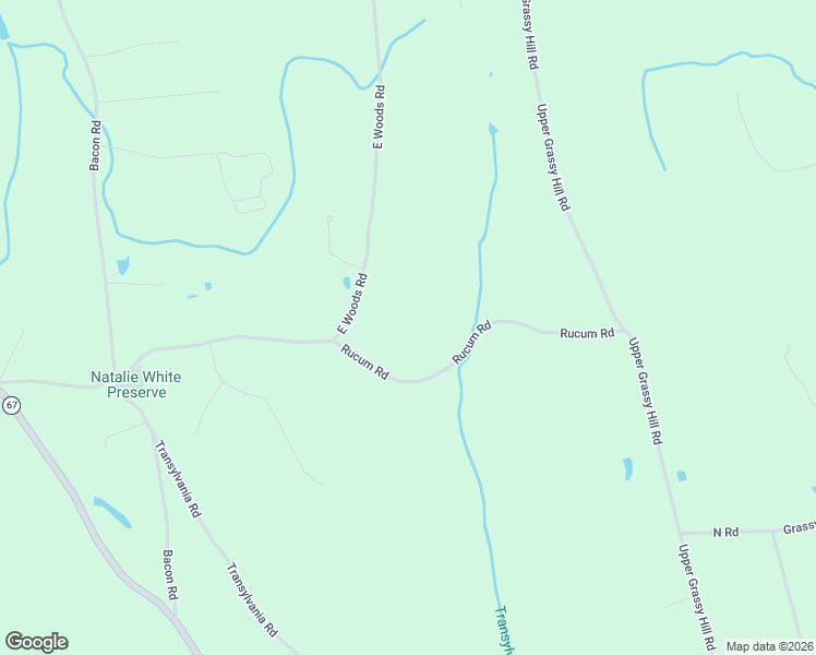 map of restaurants, bars, coffee shops, grocery stores, and more near 88 Rucum Road in Roxbury