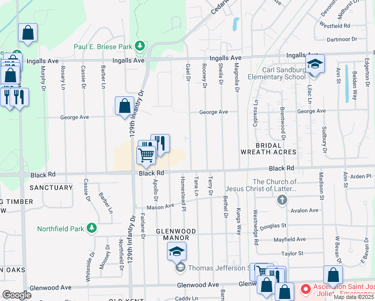 map of restaurants, bars, coffee shops, grocery stores, and more near 815 Gael Drive in Joliet