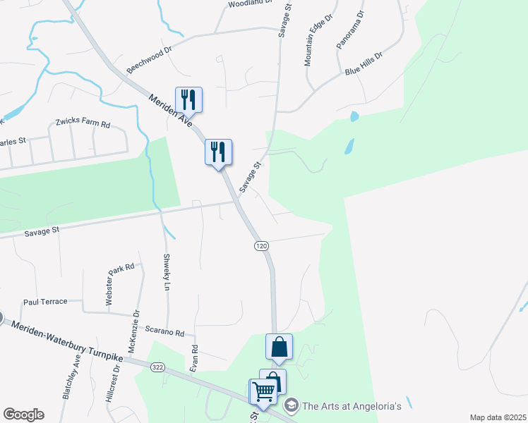 map of restaurants, bars, coffee shops, grocery stores, and more near 54 Faye Lane in Southington