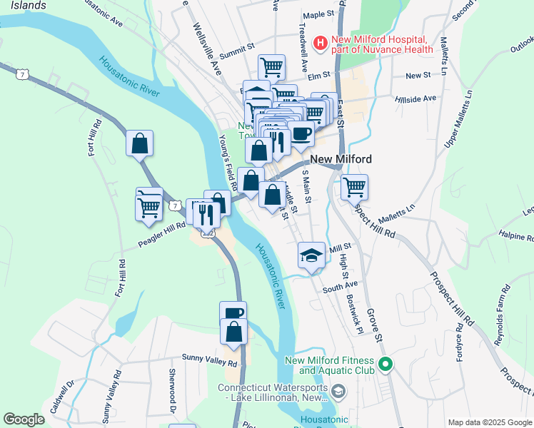 map of restaurants, bars, coffee shops, grocery stores, and more near 16 Spring Street in New Milford