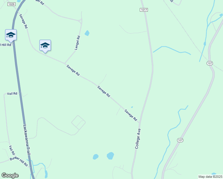map of restaurants, bars, coffee shops, grocery stores, and more near 72 Savage Road in Nicholson