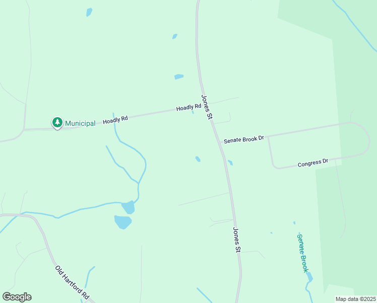 map of restaurants, bars, coffee shops, grocery stores, and more near 320 Jones Street in Hebron