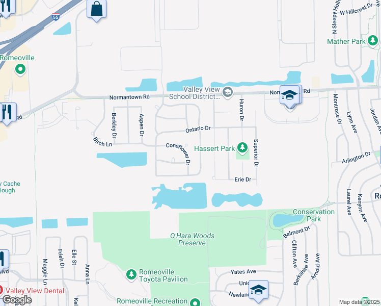 map of restaurants, bars, coffee shops, grocery stores, and more near 615 Coneflower Drive in Romeoville