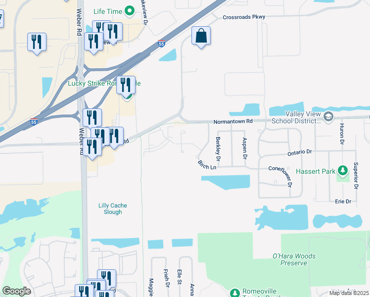 map of restaurants, bars, coffee shops, grocery stores, and more near 673 Elizabeth Court in Romeoville