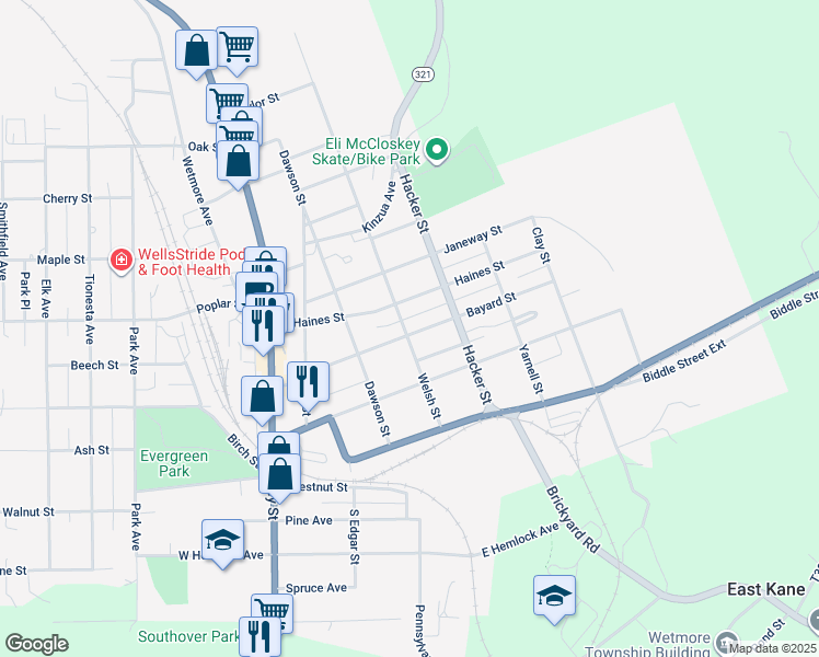 map of restaurants, bars, coffee shops, grocery stores, and more near 301 Bayard Street in Kane