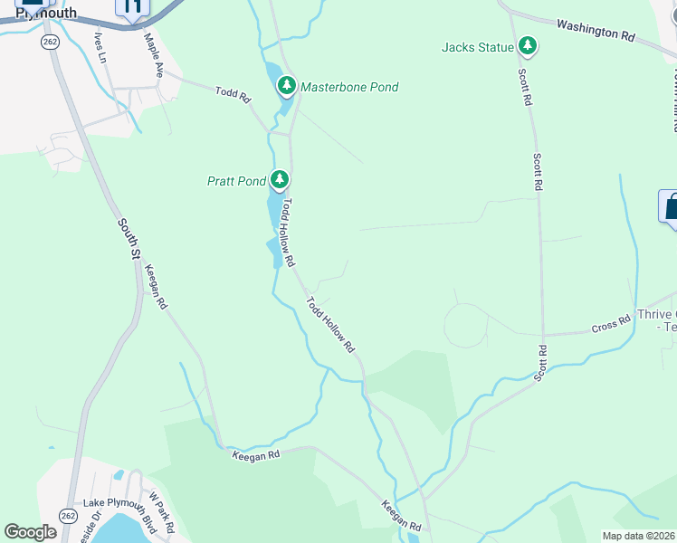 map of restaurants, bars, coffee shops, grocery stores, and more near 165 Todd Hollow Road in Plymouth