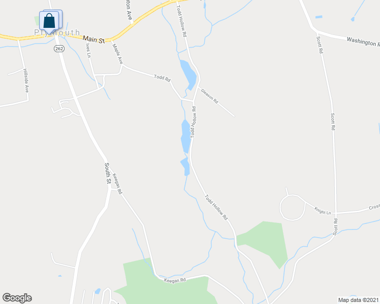 map of restaurants, bars, coffee shops, grocery stores, and more near 295 Todd Hollow Road in Plymouth