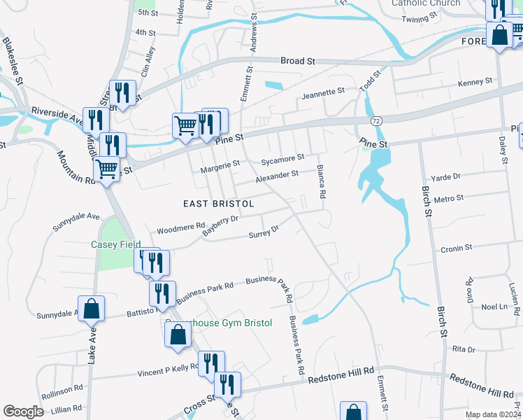 map of restaurants, bars, coffee shops, grocery stores, and more near 205 Bayberry Drive in Bristol