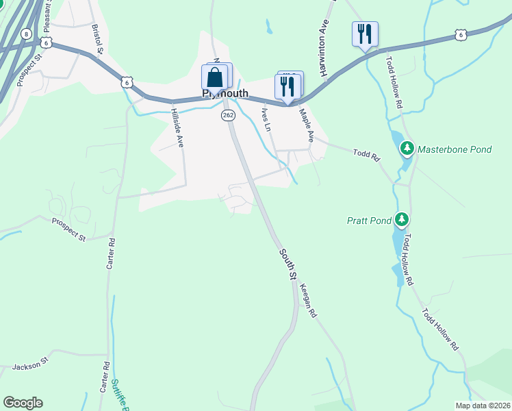 map of restaurants, bars, coffee shops, grocery stores, and more near 113 Pine Hill Boulevard in Plymouth