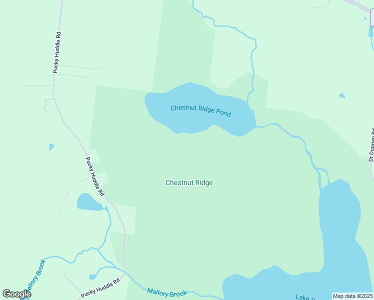map of restaurants, bars, coffee shops, grocery stores, and more near 259 Pucky Huddle Road in Bethel