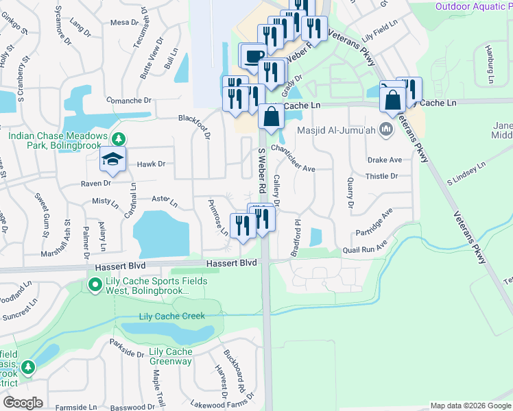 map of restaurants, bars, coffee shops, grocery stores, and more near 8 Bosi Court in Bolingbrook