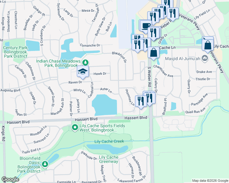 map of restaurants, bars, coffee shops, grocery stores, and more near 1404 Aster Lane in Bolingbrook