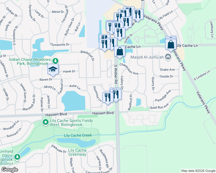 map of restaurants, bars, coffee shops, grocery stores, and more near 8 Bosi Court in Bolingbrook