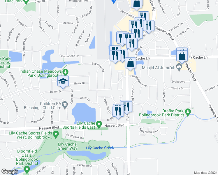 map of restaurants, bars, coffee shops, grocery stores, and more near 387 Pheasant Chase Drive in Bolingbrook