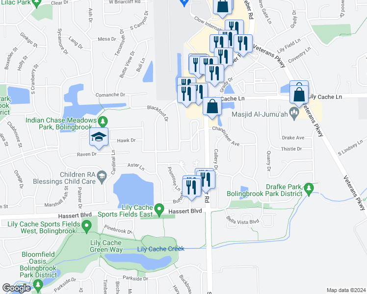 map of restaurants, bars, coffee shops, grocery stores, and more near 388 Pheasant Chase Drive in Bolingbrook
