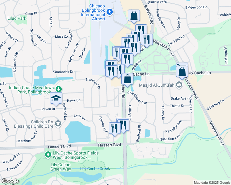 map of restaurants, bars, coffee shops, grocery stores, and more near 372 Inner Circle Drive in Bolingbrook
