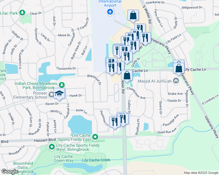 map of restaurants, bars, coffee shops, grocery stores, and more near 368 Pheasant Chase Drive in Bolingbrook