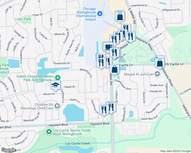 map of restaurants, bars, coffee shops, grocery stores, and more near 355 Pheasant Chase Drive in Bolingbrook