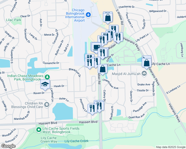 map of restaurants, bars, coffee shops, grocery stores, and more near 405 Inner Circle Drive in Bolingbrook