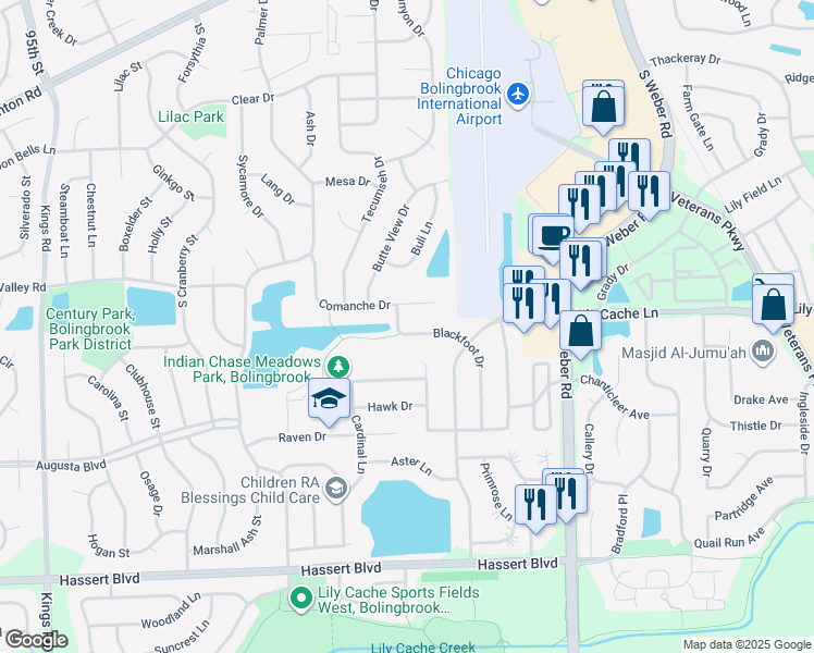 map of restaurants, bars, coffee shops, grocery stores, and more near 314 Blackfoot Drive in Bolingbrook