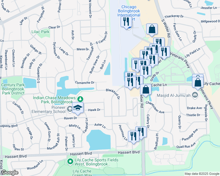 map of restaurants, bars, coffee shops, grocery stores, and more near 338 Blackfoot Drive in Bolingbrook