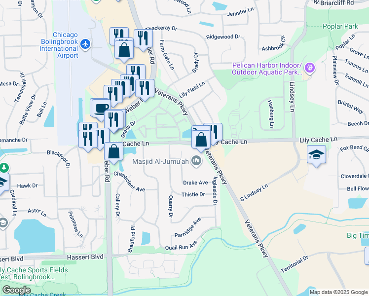 map of restaurants, bars, coffee shops, grocery stores, and more near 302 Drake Court in Bolingbrook