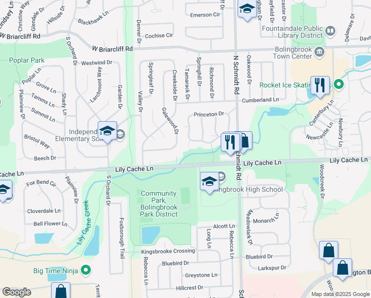 map of restaurants, bars, coffee shops, grocery stores, and more near 239 Essex Court in Bolingbrook