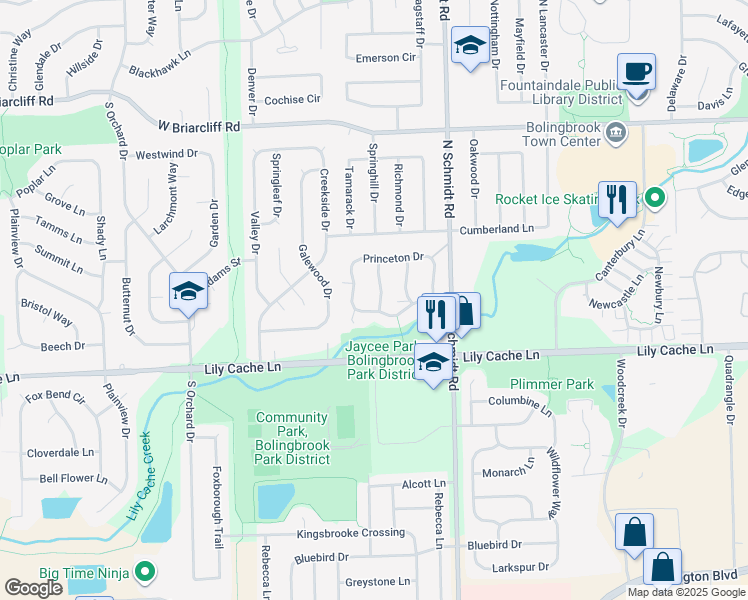 map of restaurants, bars, coffee shops, grocery stores, and more near 225 Radcliff Drive in Bolingbrook