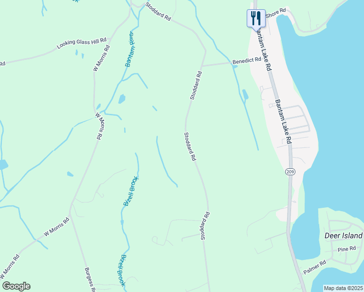 map of restaurants, bars, coffee shops, grocery stores, and more near 303 Stoddard Road in Morris