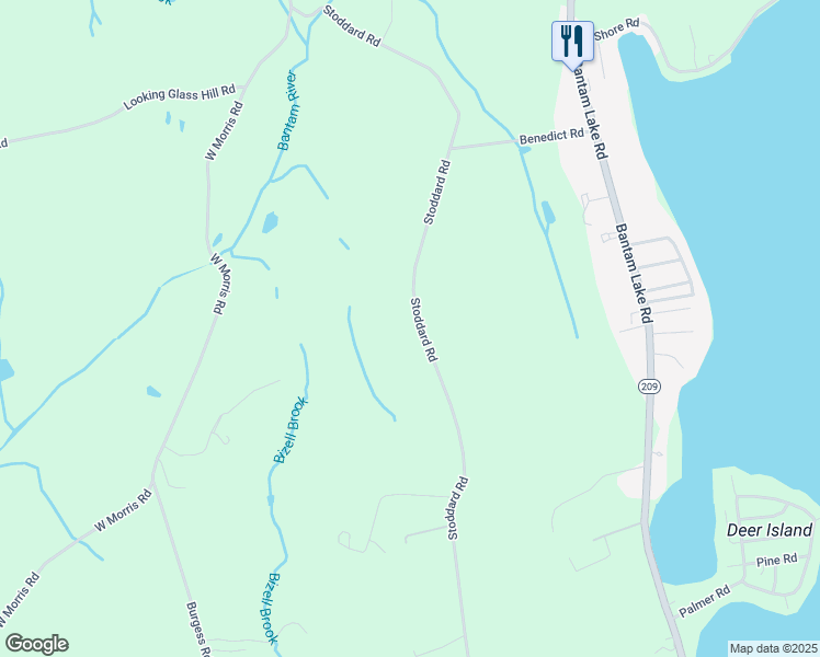 map of restaurants, bars, coffee shops, grocery stores, and more near 303 Stoddard Road in Morris