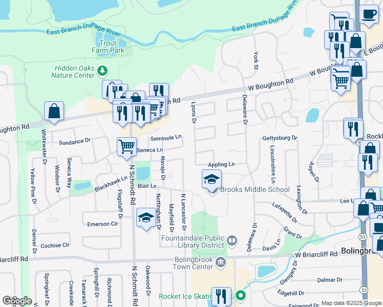 map of restaurants, bars, coffee shops, grocery stores, and more near 244 North Lancaster Drive in Bolingbrook