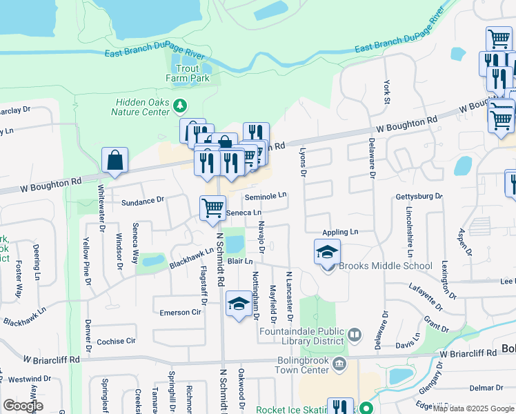 map of restaurants, bars, coffee shops, grocery stores, and more near 452 Seneca Lane in Bolingbrook