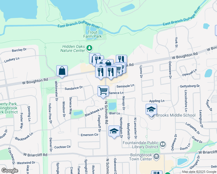 map of restaurants, bars, coffee shops, grocery stores, and more near 358 North Schmidt Road in Bolingbrook