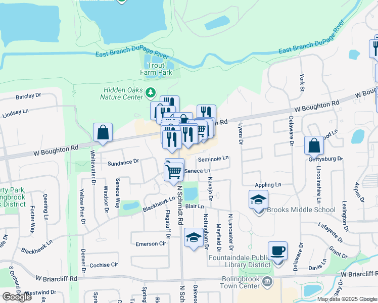 map of restaurants, bars, coffee shops, grocery stores, and more near 358 North Schmidt Road in Bolingbrook