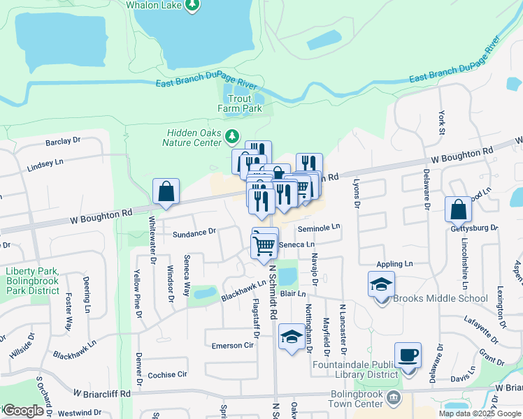 map of restaurants, bars, coffee shops, grocery stores, and more near 310 Dupage Drive in Bolingbrook