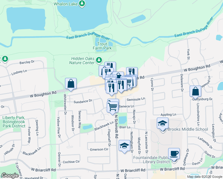 map of restaurants, bars, coffee shops, grocery stores, and more near 359 North Schmidt Road in Bolingbrook